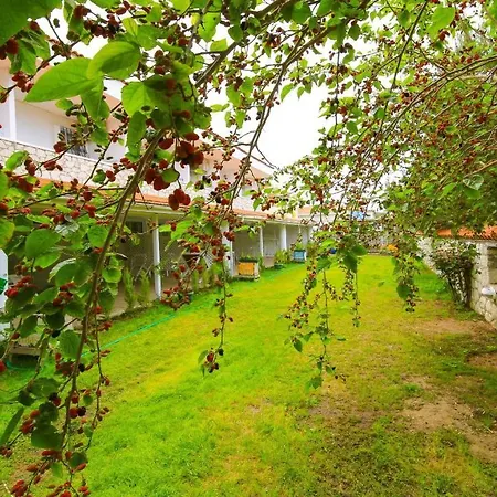 Hotel Alasonya Alacati By La Mira Alacati